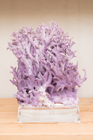 Decorative Crystal Purple Coral Reef