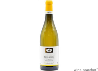 Bourgogne Blanc Les Hauts des Champs Jean-Marc Pilot 2023