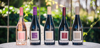 Chateau Pesquie Wine Tasting